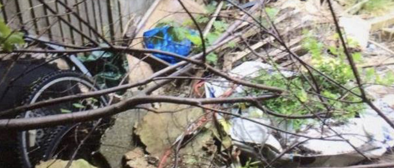 Specialist clearance of footpath in Sussex